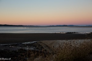 IMG_6387-2