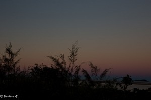 IMG_6392-2