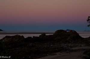IMG_6396-2