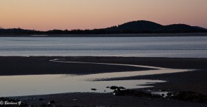 IMG_6400-2