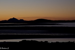 IMG_6402-2