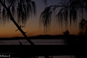 IMG_6414-2