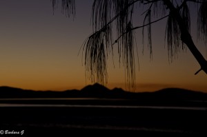IMG_6416-2