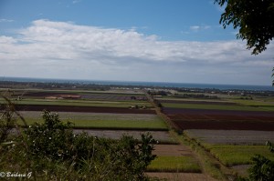 IMG_6430