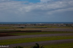 IMG_6435