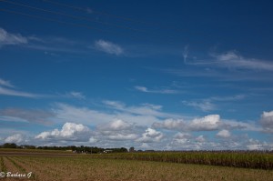 IMG_6448