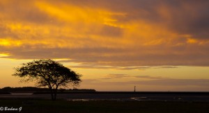 IMG_6464