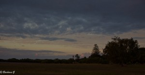 IMG_6469