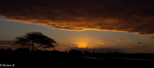 IMG_6477