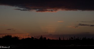 IMG_6501
