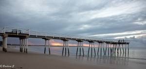 IMG_6553