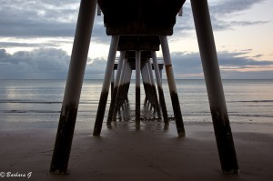 IMG_6565