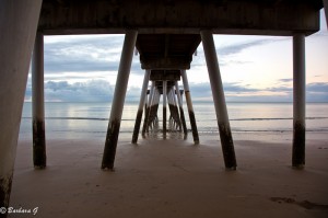 IMG_6568