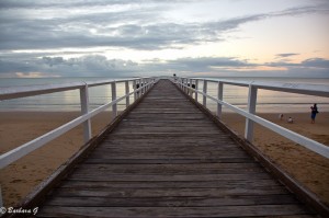 IMG_6569