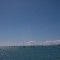 IMG_8121