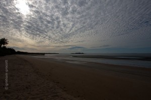IMG_8123