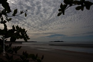 IMG_8126