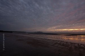 IMG_8164