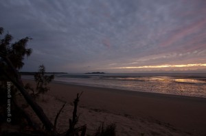 IMG_8165