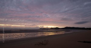 IMG_8167