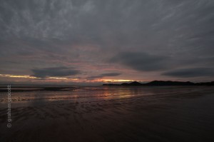 IMG_8171