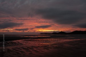 IMG_8173