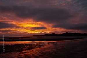 IMG_8177