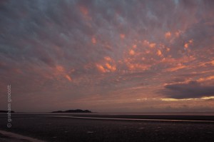 IMG_8180