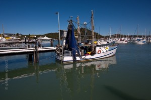 IMG_8286
