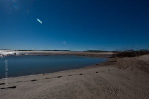 IMG_8295