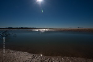 IMG_8298