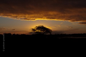 IMG_8324