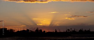IMG_8332