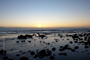 IMG_8376