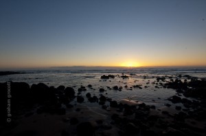 IMG_8381