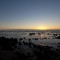 IMG_8381