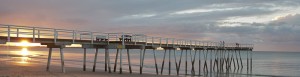 IMG_8424