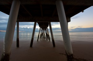 IMG_8446