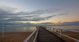 IMG_8456
